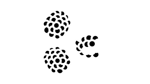 juicy berry blackberry glyph icon animation