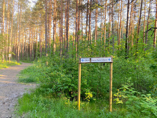 A wooden pole with an indicator of the direction of a walking route in a forest park area. Recreation and tourism