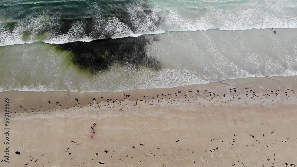 Poster aerial drone view of atlantic ocean shore line in brittany, france