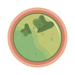 vegetable spinach soup