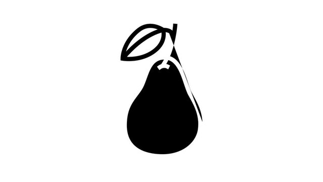 pear whole one line icon animation