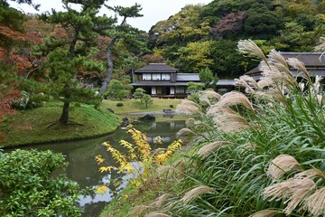 Japan travel tourist attraction 'Sankeien Garden'. Yokohama City, Kanagawa Prefecture, Japan. A Japanese style garden with historical buildings and seasonal flowers on a vast site.