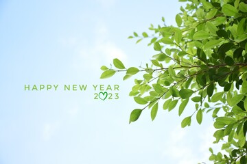 'HAPPY NEW YEAR 2023' in green color with ficus branches and leaves background, concept for...