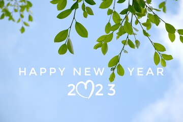 'HAPPY NEW YEAR 2023' in green color with ficus branches and leaves background, concept for...