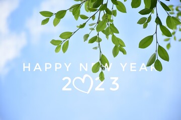 'HAPPY NEW YEAR 2023' in green color with ficus branches and leaves background, concept for...