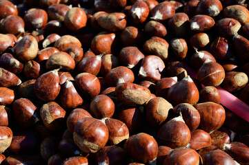 Roasting chestnuts on fire, Portuguese street food in autumn, Lisbon, Portugal