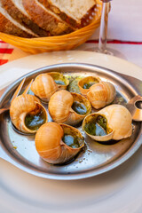Starter dish in traditional restaurants on Burgundy, snails cooked with butter, garlic and herbs