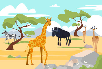 Outdoor wildland savannah landscape, africa wildlife animal giraffe, buffalo and zebra nature reserve park flat vector illustration.