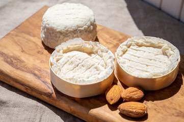 French cheeses Rocamadour and Saint-Marcellin served on olive tree wooden plank with almonds