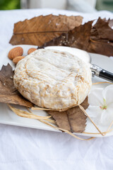 French mountains cheese banon wrapped in chestnut leaves made in Provence from unpasteurised goat milk