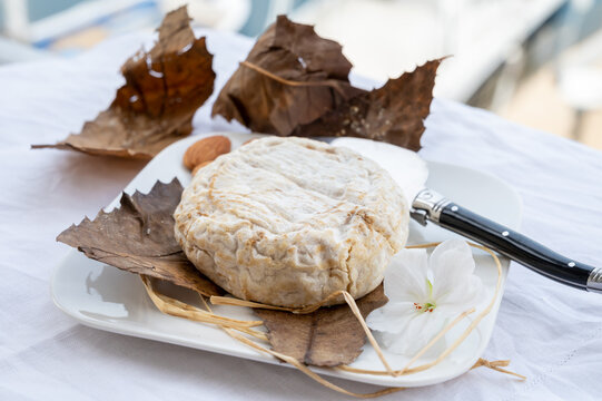 French mountains cheese banon wrapped in chestnut leaves made in Provence from unpasteurised goat milk