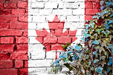 Canada grunge flag on brick wall with ivy plant