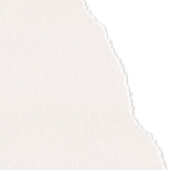 Beige torn paper with shadow. Torn sheet of paper. Torn paper decorative element. Ripped paper sheet.