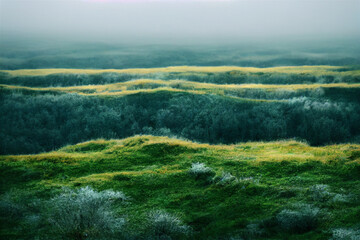 Fototapeta premium landscape with grass
