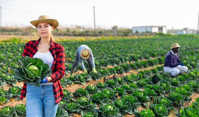 Portrait of positive girl working on farm field with team of workers on sunny spring day, harvesting ripe heads of savoy cabbage