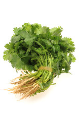 Parsley on White Background