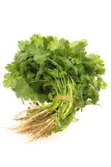 Parsley on White Background