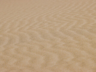 Wind patterns in sand at the Oregon Sand Dunes