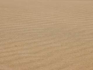 Waves in Sand made by wind