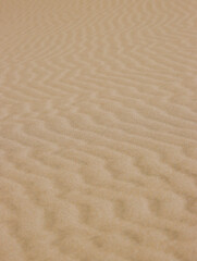 Fototapeta na wymiar Ripples in Sand caused by wind