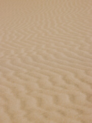 Fototapeta na wymiar Ripples in Sand made by wind