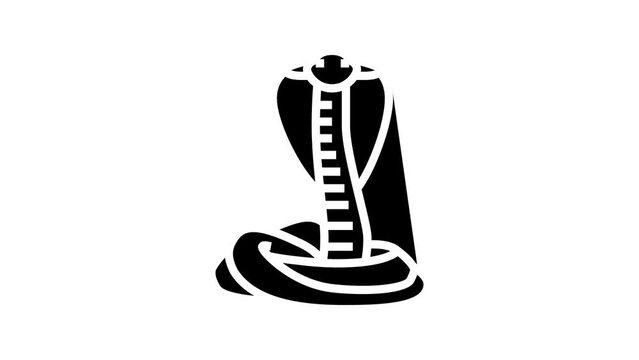cobra snake line icon animation