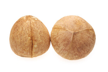 coconut isolated on white background