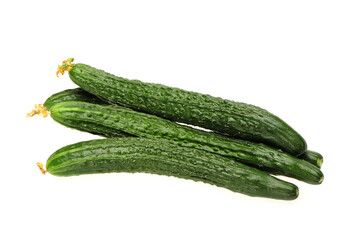 cucumber isolated on white background