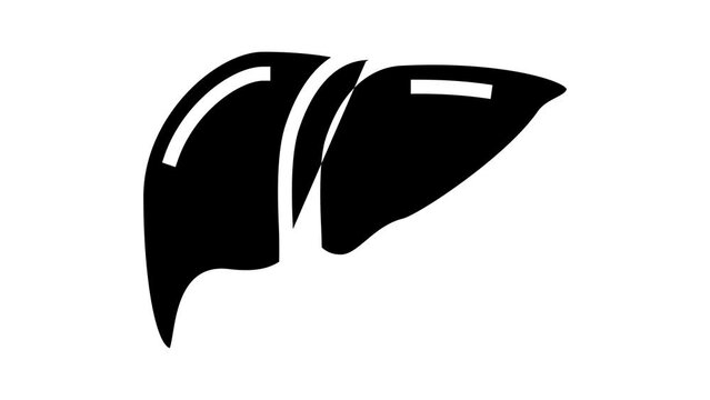 liver human organ glyph icon animation