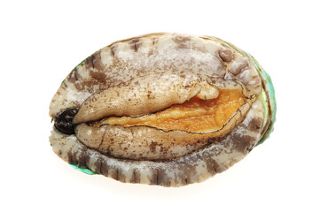 Obraz premium Raw abalones on the white background 