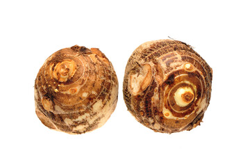 Taro on white background