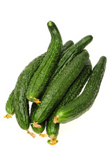 cucumber isolated on white background