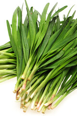 Leek on white background