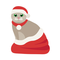 Cute cat in Santa bag on white background