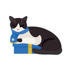 Cute cat with Christmas gift on white background