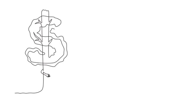 Animated self drawing of continuous line draw tree shaped in dollar sign. Money tree investment growth income interest savings economy funds stock market business. Full length single line animation
