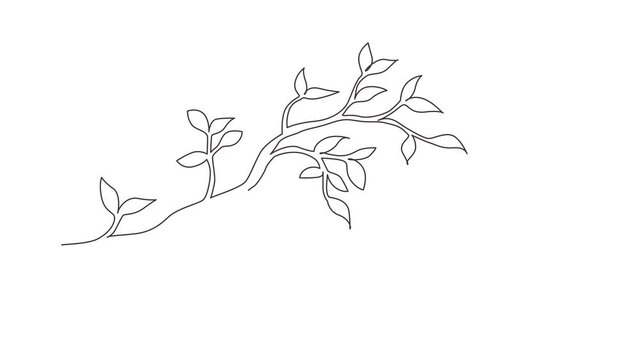 Animated self drawing of continuous line draw leaf hanging from tree branch. Spring planting. Early seedlings grown from seeds. Agriculture. Earth day, ecology concept. Full length one line animation