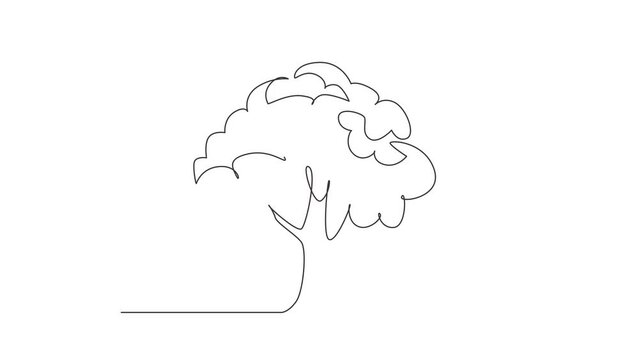 Animated self drawing of continuous one line draw green tree fertile on white background, trees for decorating gardens, park, forest. Agriculture. Earth day, ecology. Full length single line animation