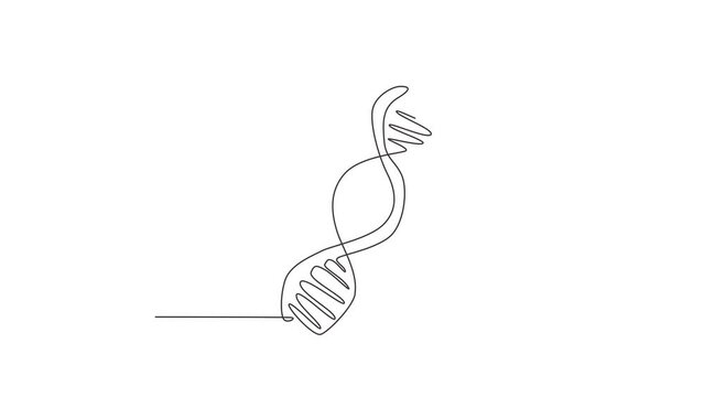 Self drawing animation of single line draw helix or DNA. Low poly wireframe. Biotech, science, medicine. Technology innovation in genetic engineering. Continuous line draw. Full length animated