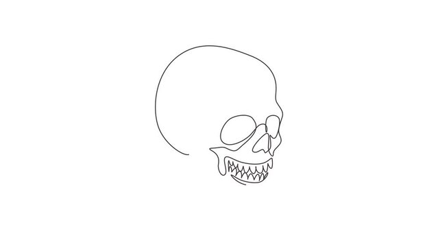 Self drawing animation of single line draw skulls isolated on white background. Anatomy face halloween horror elements. Engraved human skull with closed jaw. Continuous line draw. Full length animated