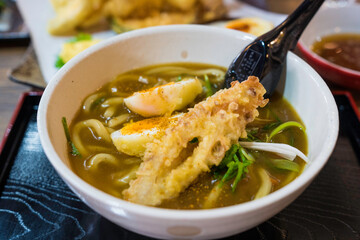 This POV image shows a gourmet curry udon dish in japan.