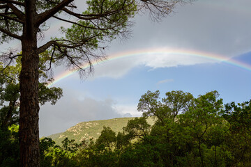 Obraz na płótnie Canvas Mountains in Corsica with rainbow, blue sky and green forests, panorama, landscape, Montagnes en Corse avec arc-en-ciel, ciel bleu, forets, paysage