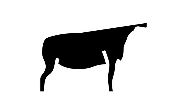 dorper sheep glyph icon animation