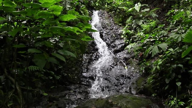 Large waterfall with rocky subsoil in the rainforest of Costa Rica 4k Resolution copyspace