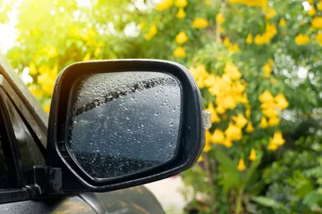 Fotobehang Mirror wing of car with on the glass with drop of water rain. Soft light in the garden with bright yellow flower of Yellow elder. © thongchainak