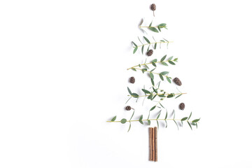 Creative Christmas tree made from eucalyptus branches isolated on white background.
