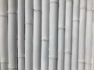 background with bamboo