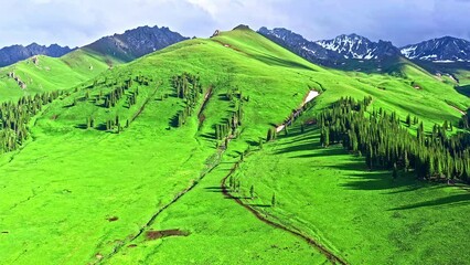 Aerial footage of green grassland natural scenery in Xinjiang, China. Nalati Scenic spot is one of the most beautiful grasslands in China.