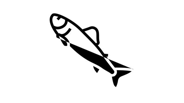 parr salmon line icon animation