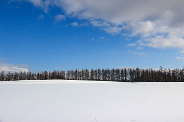 雪原と冬の青空
